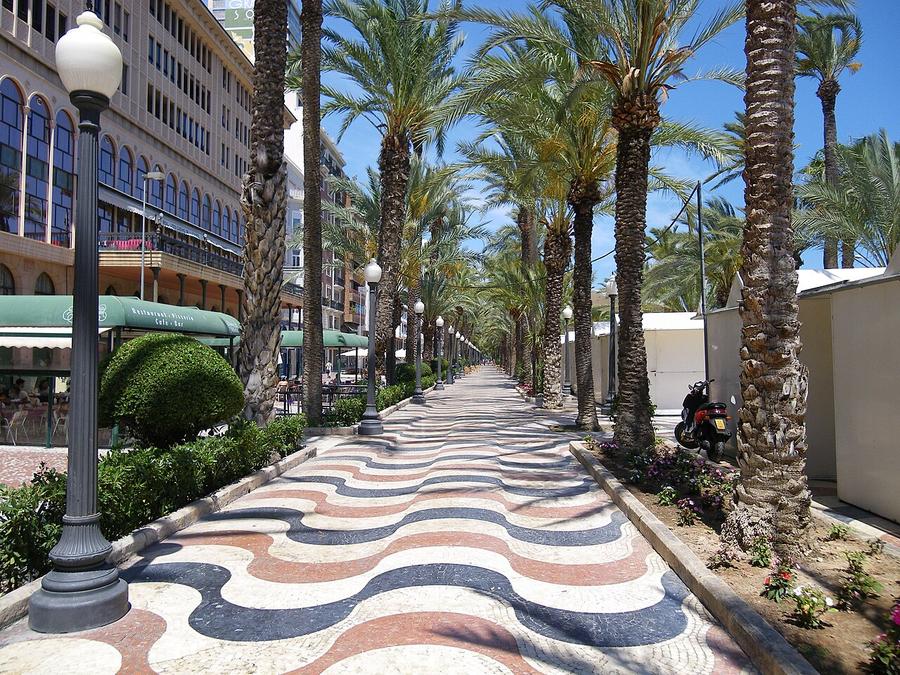 Paseo de la Explanada de España de Alicante con su mosaico de olas y doble fila de palmeras