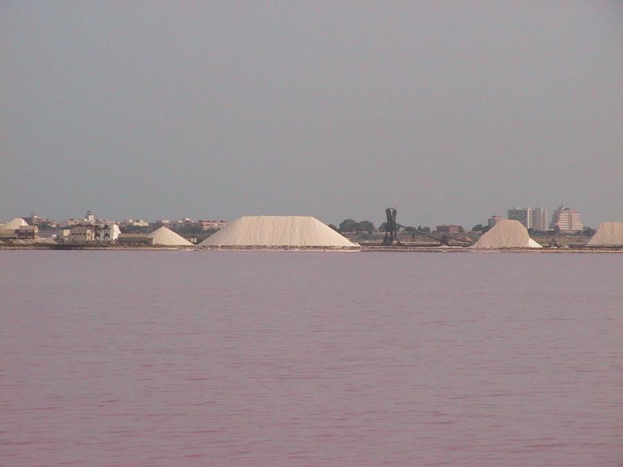 Salinas y Laguna Rosa de Torrevieja con montañas blancas de sal