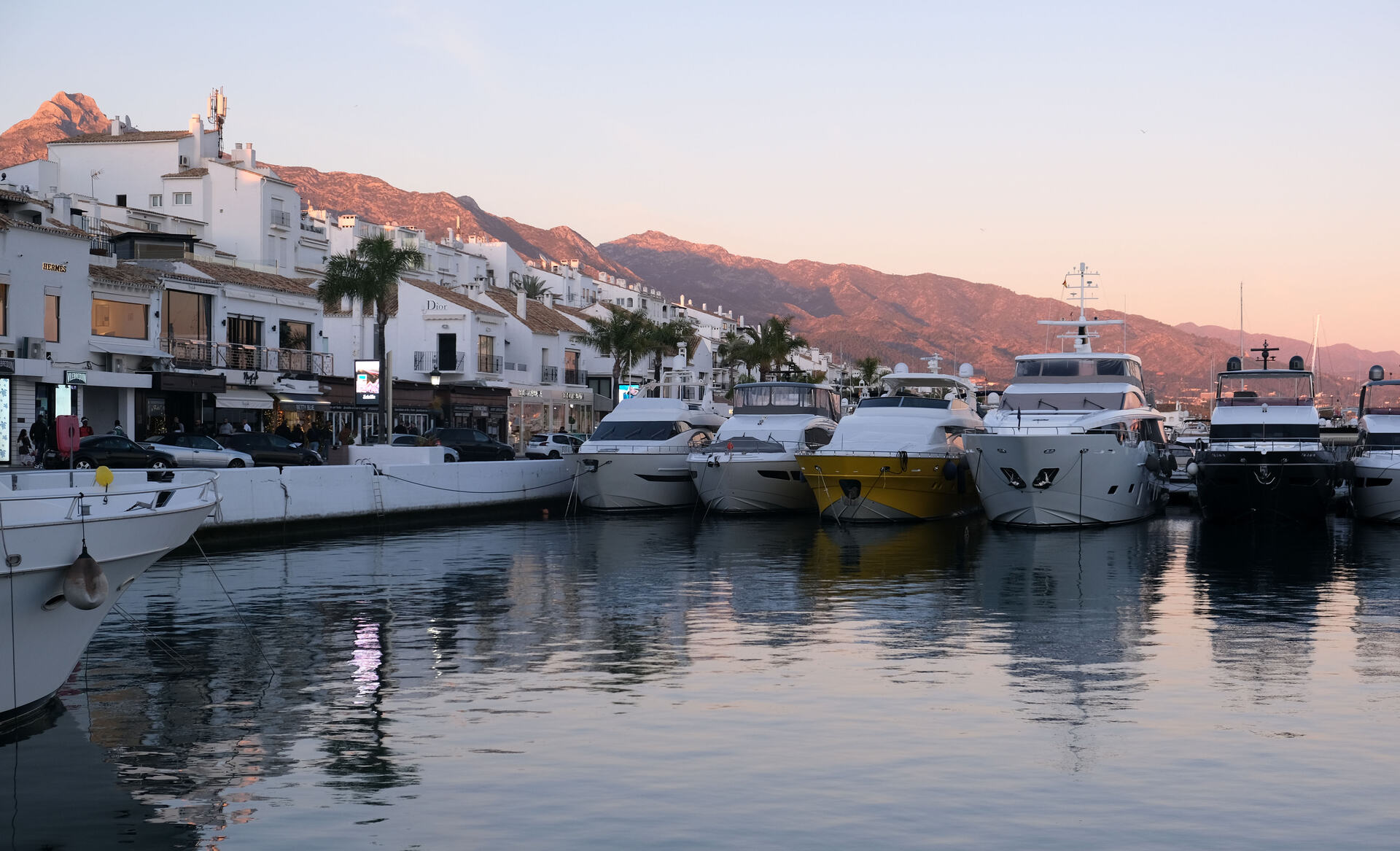 Catamarán y delfines en Puerto Banús