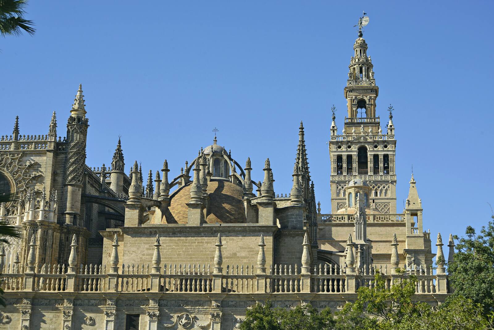 Catedral y Giralda con guía oficial