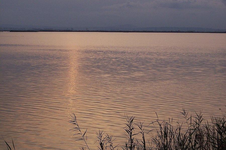Lago de la Albufera de Valencia al atardecer